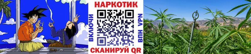 Где продают наркотики Пересвет Кокаин Конопля МЕФ СОЛЬ Гашиш