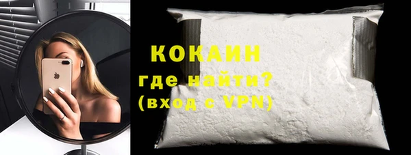 гашик Горняк