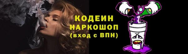 гашик Горняк