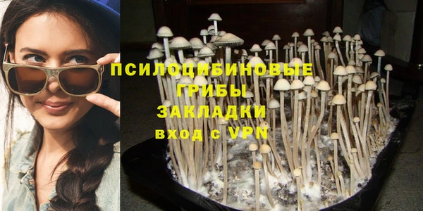 гашик Горняк