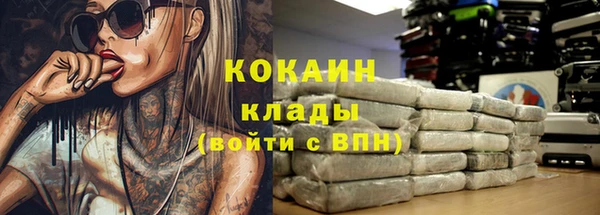 гашик Горняк