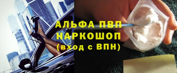 гашик Горняк
