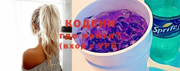 гашик Горняк