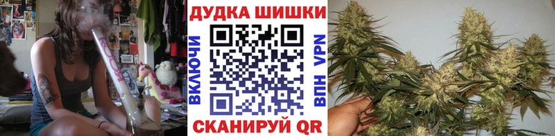 как найти   Пересвет  площадка телеграм  Каннабис семена 